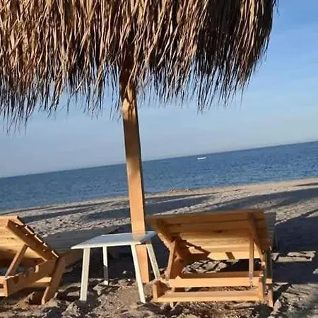 Holiday Onix Blue Mamaia Nord Daire